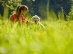 dog friendly dog friendly